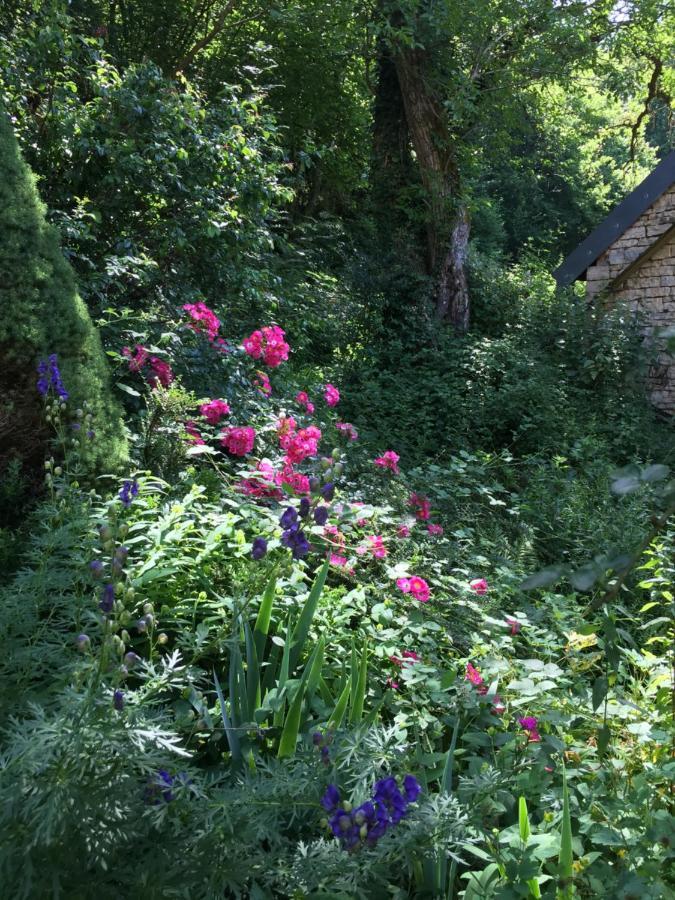 Moulin De La Rouchotte Bed & Breakfast Fretigney-et-Velloreille Luaran gambar